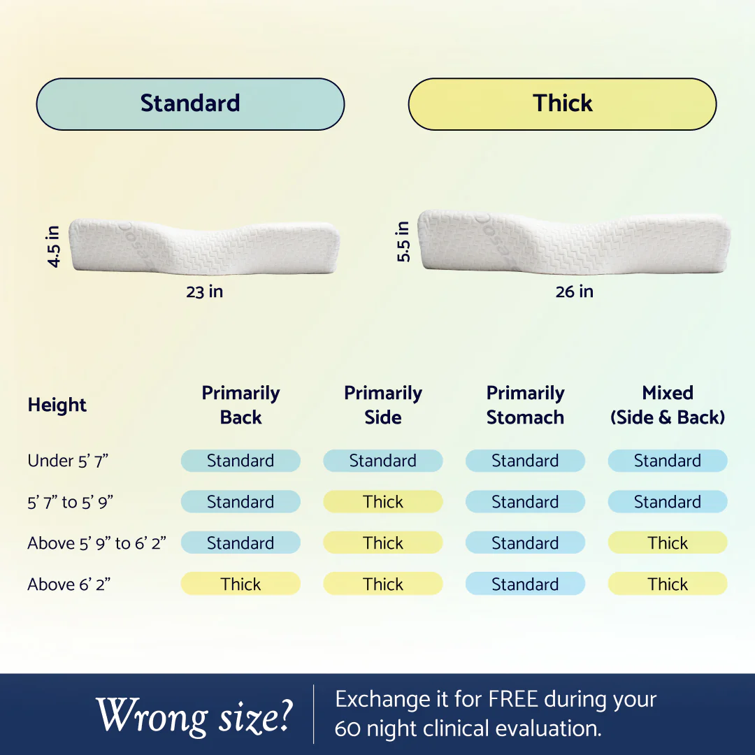 Dosaze OrthoCurve Pillow - Image 6